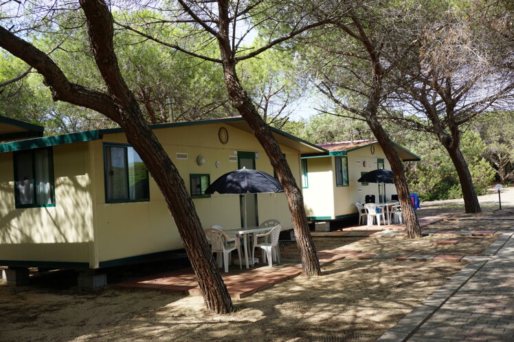 casa mobile pineta.jpeg casa mobile pineta.jpeg
