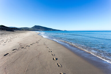spiaggia deserta.jpeg spiaggia deserta.jpeg
