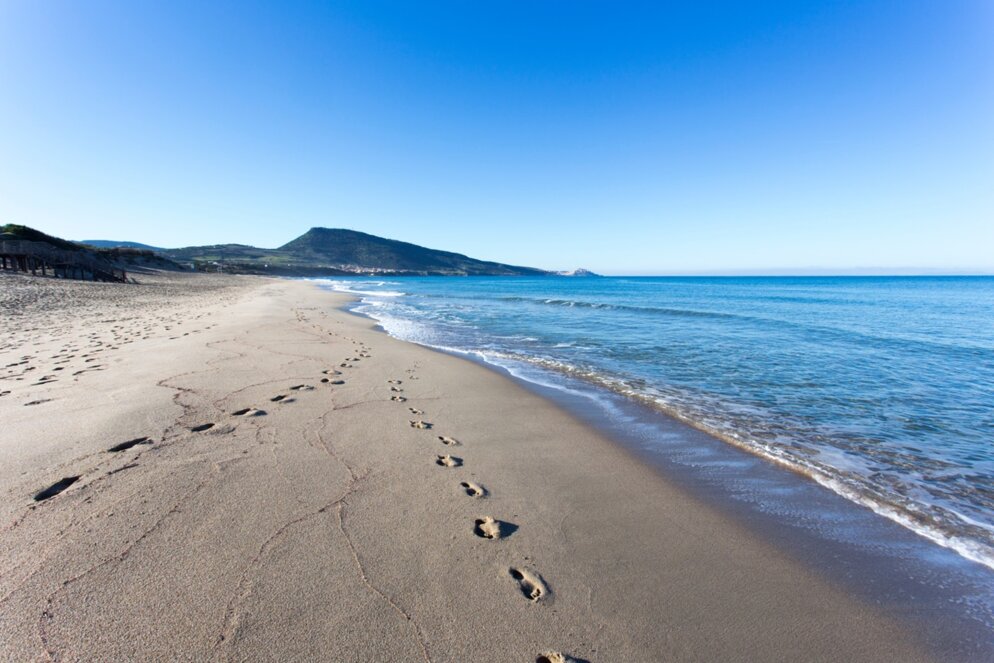 adobestock_473838397 large.jpeg adobestock_473838397 large.jpeg
