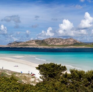 isola_dell_asinara_-_vista_da_torre_del_falcone.jpeg isola_dell_asinara_-_vista_da_torre_del_falcone.jpeg