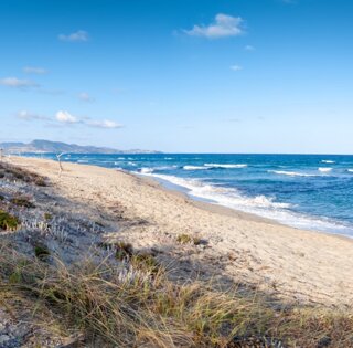 adobestock_172521366%20large.jpeg adobestock_172521366%20large.jpeg