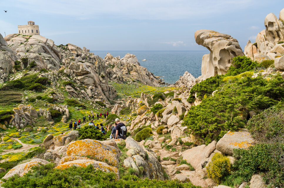 capo testa-adobestock_169446567.jpeg capo testa-adobestock_169446567.jpeg