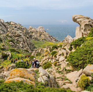 adobestock_158908032%20large.jpeg adobestock_158908032%20large.jpeg