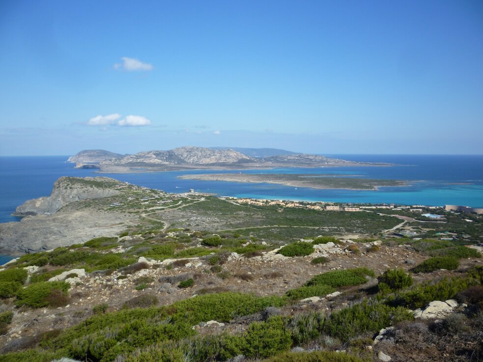 isola_dell_asinara_-_vista_da_torre_del_falcone.jpeg isola_dell_asinara_-_vista_da_torre_del_falcone.jpeg