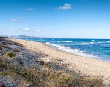 adobestock_33313945%20large.jpeg adobestock_33313945%20large.jpeg