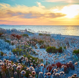 adobestock_273196632%20large.jpeg adobestock_273196632%20large.jpeg