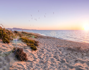 adobestock_109516367.jpeg adobestock_109516367.jpeg