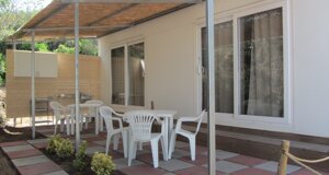 gineprostandard gineprostandard